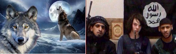 lone-wolf-jihad